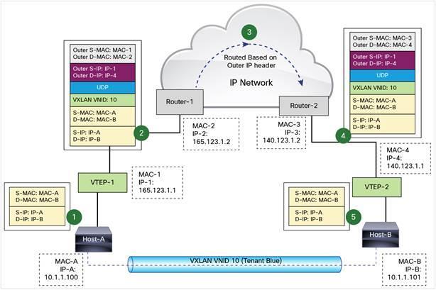 VXLAN» VXLAN Tunnel End Point (VTEP)»