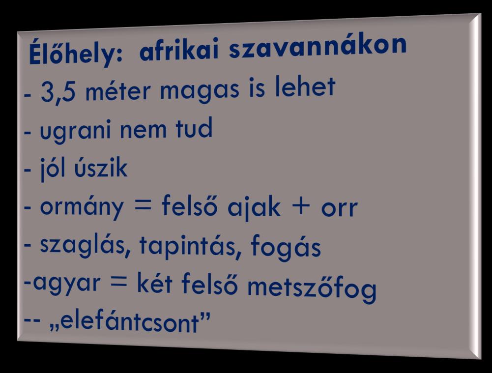 ELEFÁNT -