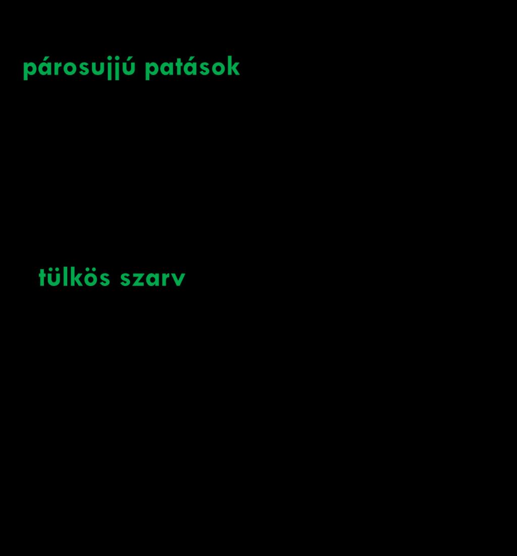 ANTILOP
