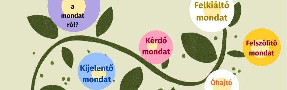 Készítette: Kormányos K.