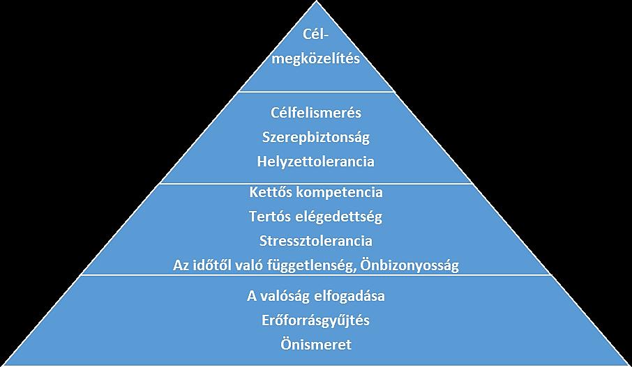 PREVENTÍV MENTÁLHIGIÉNÉS GONDOZÓK, KOORDINÁTOROK KÉZIKÖNYVE - PDF Ingyenes  letöltés