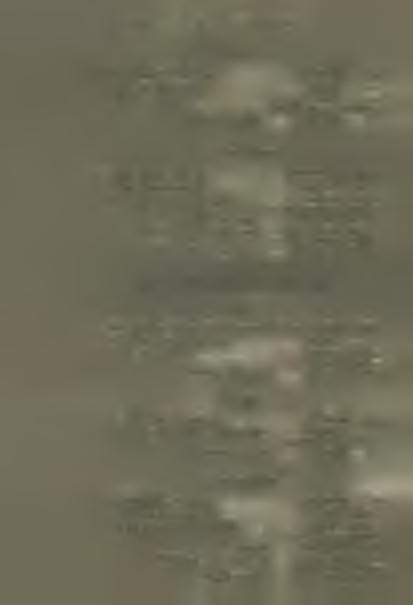 Pénztári maradvány 3073 66 9 9 Összesen 310819 K 79 f. 1908. év végén volt 294789 82 99 Szaporodás 16029 K 97 f. IV.