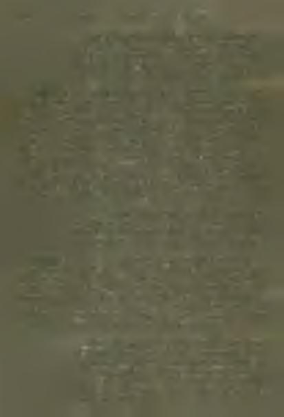 Azért az ungi egyházmegye kérelmének helyt nem adhat. 128. Az alsózempléni egyházmegye 1910.