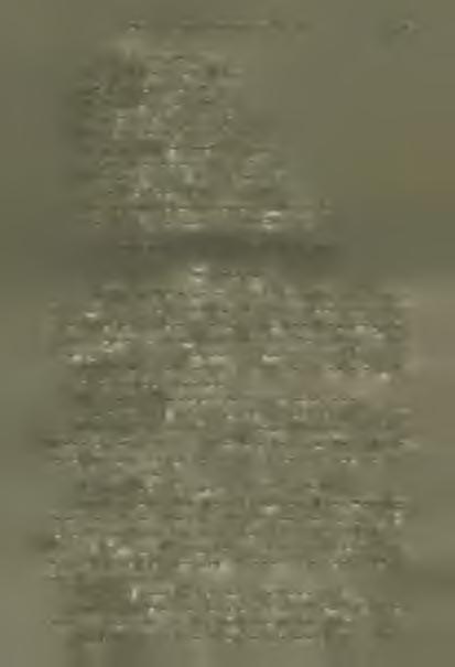 Tiszadorogma lelkészlakot épített 12,125 kor. 09 üli. Tiszanána építkezésre fordított 1183. koronát. III. A felsőborsodi egyházm egyében. A) Adakozások. Felsönyárád. Méltóságos és főtisztelendő dr.