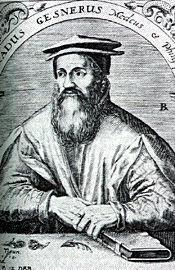 ként, de polihisztor volt, mint kortárs humanista tudóstársainak legtöbbje. Ő a bibliográfia atyja. 1. kép Conrad Gesner (1516 1565). Forrás: http://www.mailce.com/wpcontent/gespor.