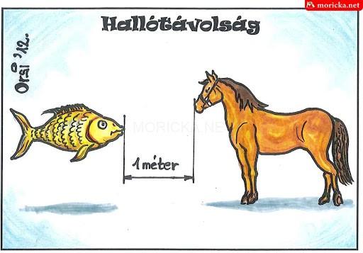 Nyelvi