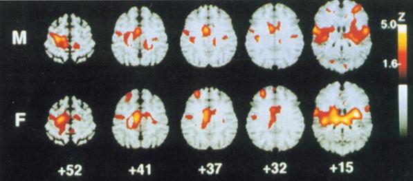 Sci. USA 1999 (96) pp. 7668-74, Wolf CJ Pain.