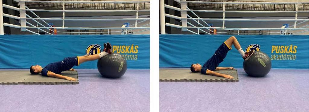 Hamstrings curl (kétlábas labdabehúzás), 3 10 -