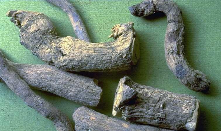 alkaloidcsoport neve hagyományosan megmaradt Rauwolfiae radix illetve Rauwolfia-alkaloidok - nak. Jellemző vegyületek: A drog 0,8 3% indolalkaloidot tartalmaz, ezek 90%-ban a kéregben lokalizálódnak.