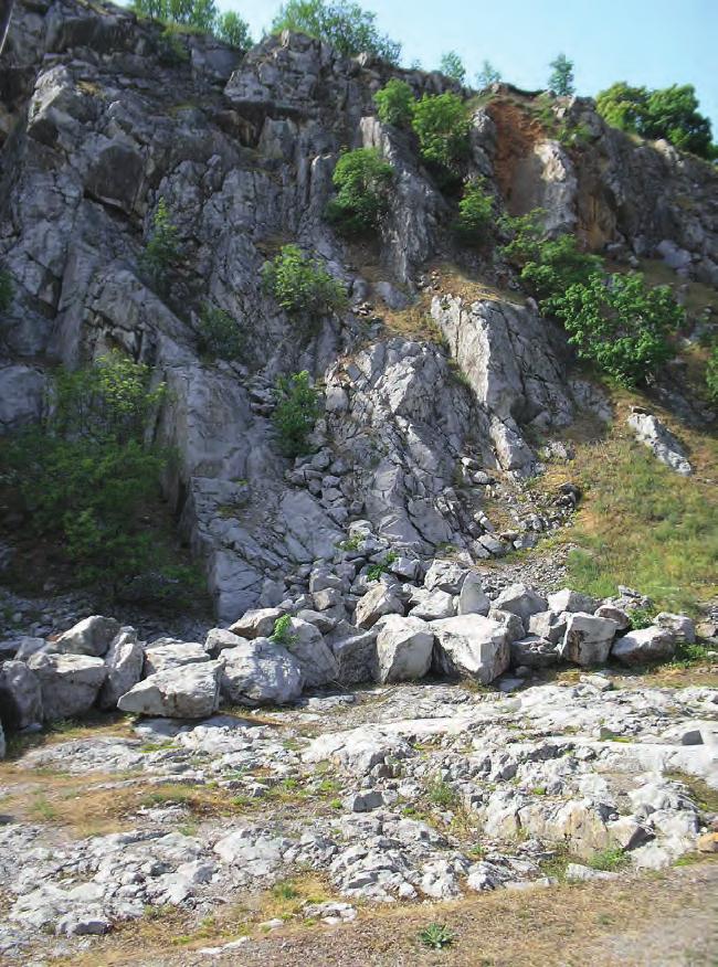 1 2 1. kép/pict.: Halász Károly: Robert Smithsonért / Hommage for Robert Smithson fotó/photo: halász károly, paks, 1973 2. kép/pict.: Farkas Ádám: Kőesés / Falling of Stones a szerző felvétele/ photo by the author, nagyharsány, 1986-88.