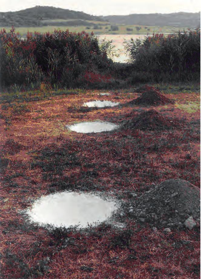might have an impact on the reality of threedimensional land.
