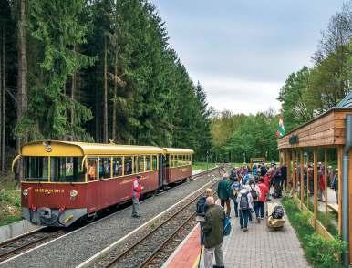 BUDAPESTI RÉGIÓ 11 TRANSZBÖRZSÖNYI KISVASÚT Börzsöny Kisvasút Np.Kft. / Nagybörzsönyi E.Kv.Np.Kft. 2628 Szob, Ipolysági utca 19.; 2634 Nagybörzsöny, Völgy utca 52. www.borzsonyikisvasutak.
