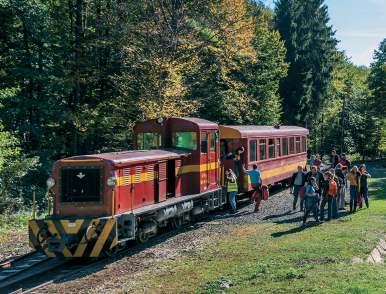14 MÁTRAVASÚT EGERERDŐ Zrt. 3200 Gyöngyös, Dobó u. 1. www.egererdo.