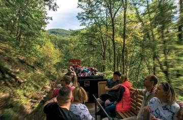 Fátyol-vízesés fölötti tisztás között.