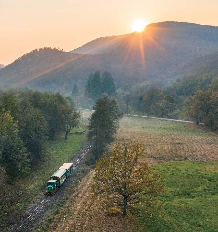 Fotó: Gulyás Attila A képen a