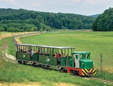4 ALMAMELLÉKI ÁLLAMI ERDEI VASÚT Mecsekerdő Zrt. 7934 Almamellék, Vasútállomás www.mecsekerdo.