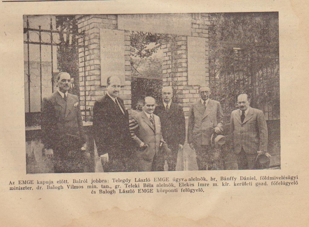 BaloghVilmos dr. miniszteri tanácsos, a F. M.