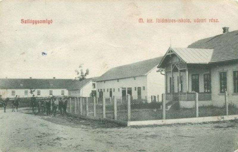 korai kukorica,olajbab Soia Hispida,takarmány lucernaliszt a homoródszentmártoni szővetkezeti zúzon őrölve, Aranyérem, állami ezüst. L.