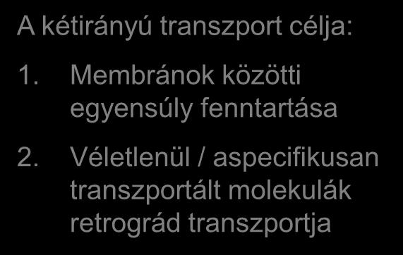 ER rezidens fehérjék visszatérése a Golgiból A kétirányú transzport célja: 1.