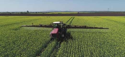 zászlóslevél kiterülésekor Repce 20-25 l/ha 5 l/ha Tőlevélrózsás állapotban 5 l/ha Rejtett sárgabimbós fejlettségnél Kukorica 20-25 l/ha 5 l/ha 4-6 leveles állapotban 5 l/ha Címerhányás kezdetén