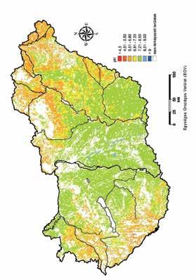 Nitrogéntartalma 27%, de 7% CaO és 5% MgO tartalmát is figyelembe véve összes hatóanyag-tartalma 39%. Minden 1 tonna Pétisó 228 kg talajjavító anyagot (dolomit) tartalmaz.