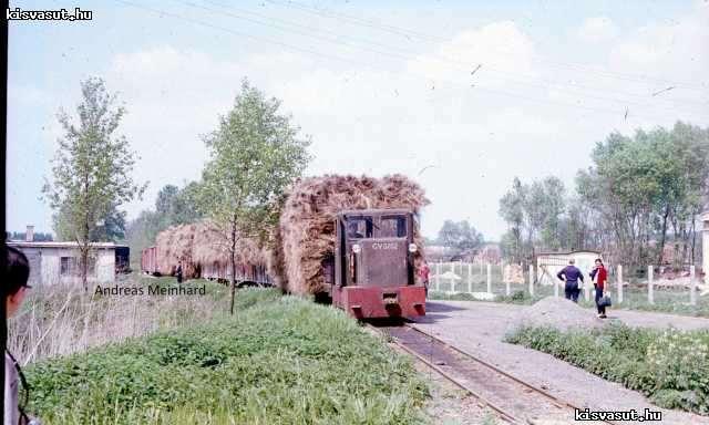Nagykónyi