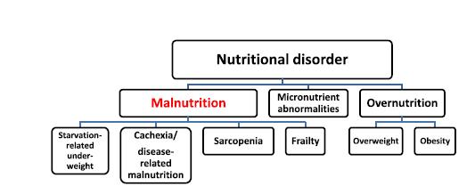 Malnutrició definiciója Európában