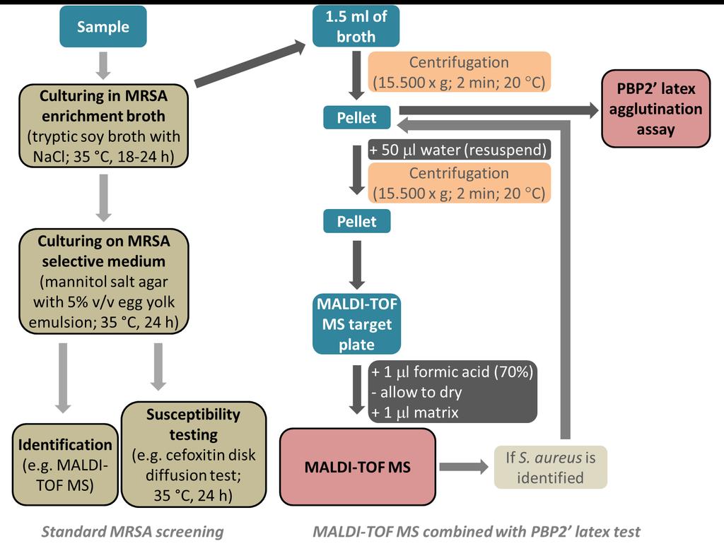 study. From the clinical samples sent for MRSA screening, 1.5 ml of the selective enrichment broth incubated previously for 18-24 h was centrifuged (15.