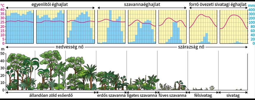 Mellékletek Melléklet 1 Afrikai országok éghajlata, vízrajza és mezőgazdasága Egyiptom éghajlata, vízrajza és mezőgazdasága Éghajlat Húzzátok alá a szövegben a legfontosabb információkat!