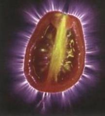 Inyusin úgy vélte, hogy a Kirlian-fényképeken látható bio-fénykibocsájtást egy energiatest okozza, ami ő bioplazma testnek nevezett el.