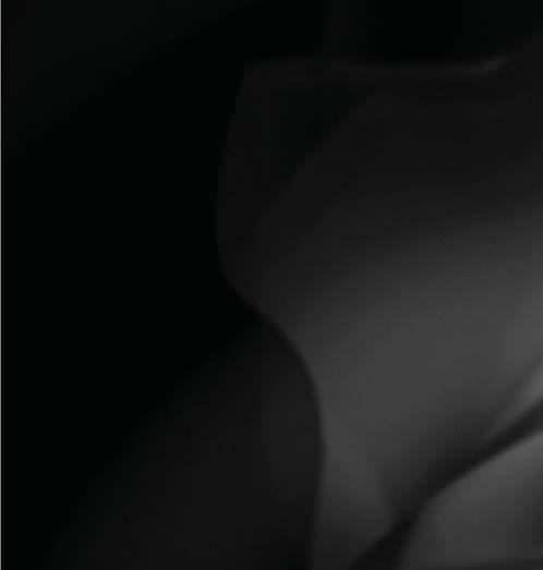 Nobel Biocare N1 egreformáljuk AZ IMPLANTOLÓGIÁT