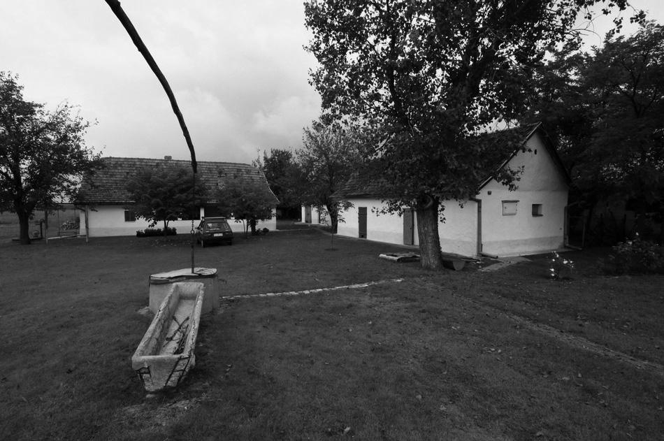 b) szerkezeti elemet: ágasfa, szalufás, kakasülős, székes, c) füstelvezetés, fűtés: szabadkémény, kemence, d) az épület tömege, tetőformája, homlokzati megoldások, nyílásrendje, nyílásosztás, díszek,