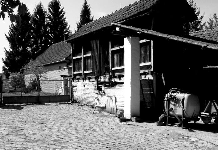 egyéb épületdíszeket, melyek a kor divatja szerint felkerültek a házak külső homlokzatára. A falu jegyzőjének házát mérnöki tervek alapján emelték.