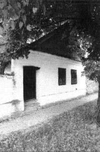A montenegrói lakosság a szőlőkultúrával nem tudott mit kezdeni, mire megtanulhatták volna, addigra az