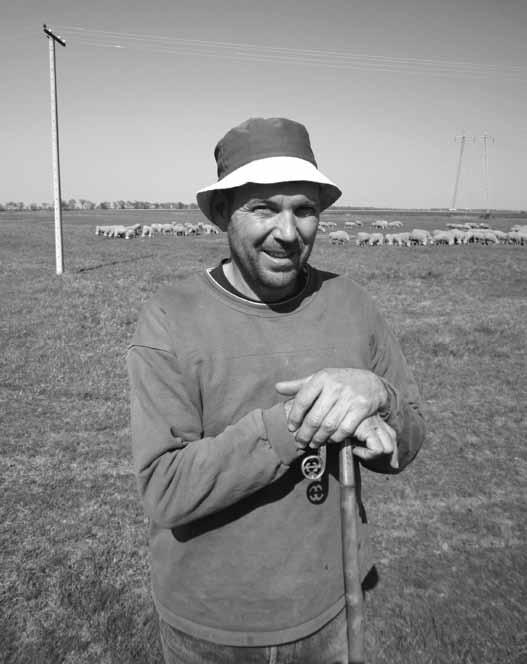 Gyökerek 123 sával már szinte természetes az ikerbárány, nem ritka a hármas sem, csak éppen arról nem esik szó, hogy az anyabirka szervezete hány évig bírja ezt a megerőltetést.