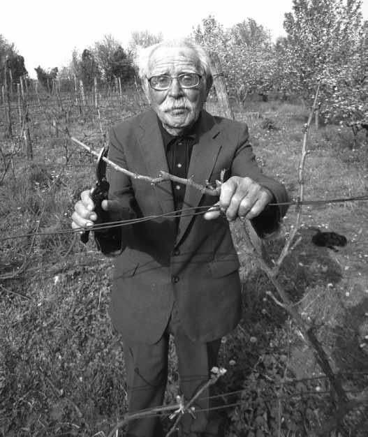 Ha kell a tudásom... 199 szorongatta a szövetkezetbe kényszerítés abroncsa. Ha annyira akar, akkor tanuljon a gyerek, a tanyával meg majd lesz valami!
