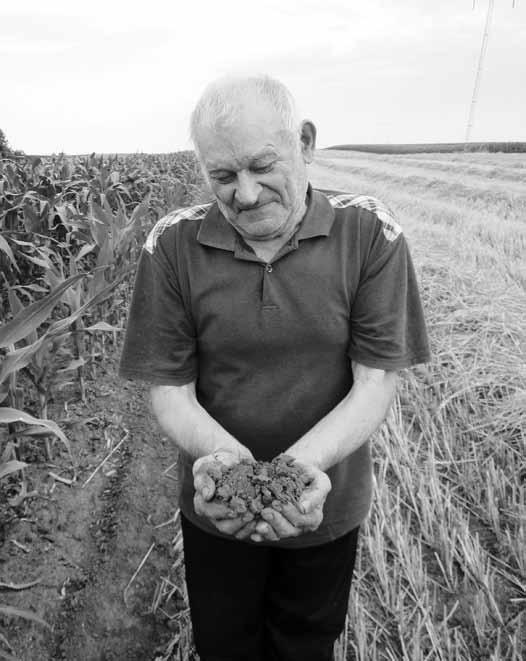 Változó tanyai gazdálkodás 237 Meghatározó volt a kukoricatermelés. Vetőgép nem volt a gazdaságon, így a vetés kézzel történt, amiben a gyerekek is részt vettek.