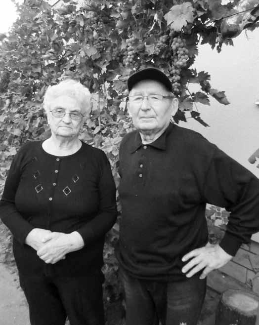Száműzetésre ítélve 29 kodó bodzabokron sem akadt fenn, nemhogy tanyába ütközött volna. Az adai községben a tagosítás nyomán 765 tanya tűnt el a föld színéről.