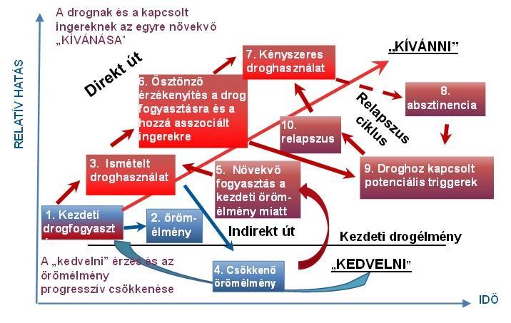 ADDIKTOLÓGIA I. 3.