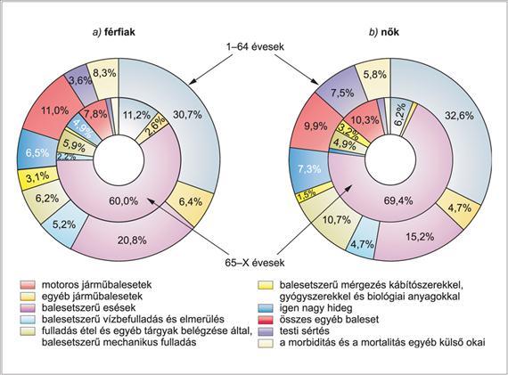 III. A nem fertőző betegségek epidemiológiája Forrás: Demográfiai Évkönyv kötetei Időskorban az osteoporosisos betegek esetében a combnyaktörés és a kompressziós csigolya-fraktúrák halálos kimenetele