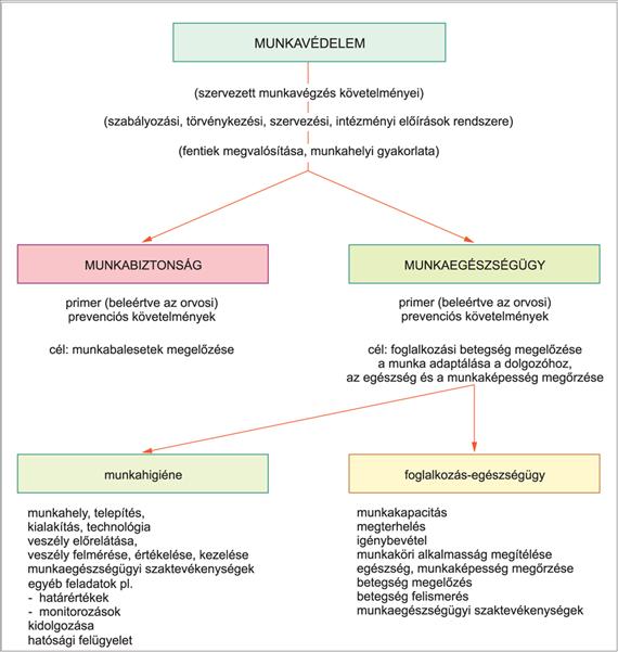 VI. Munkaegészségtan Magyarország munkavédelmi nemzeti politikájának kialakításában és ajánlást és véleményt alakíthat ki egyes munkavédelmi kérdésekről.