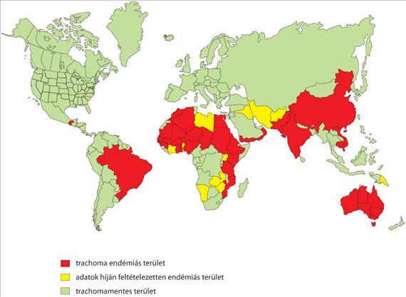 3.3.88. ábra. A trachoma előfordulása A C. trachomatis TRIC biovariánsának D-K szerotípusai évente 90 millió új megbetegedést okoznak, így ez aleggyakoribb szexuális úton átvihető patogen baktériumok.