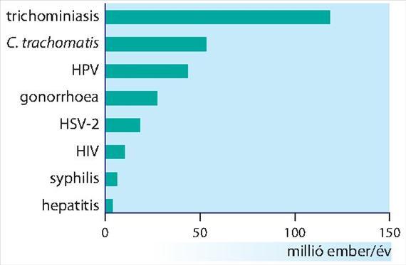 4. BEVEZETÉS A KLINIKAI MIKROBIOLÓGIÁBA 4.6.1. ábra.