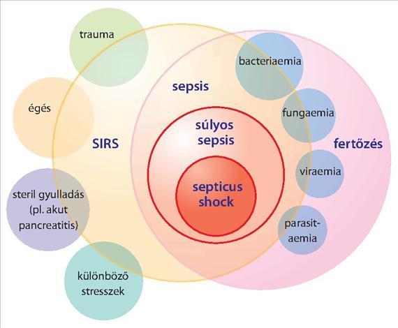 4. BEVEZETÉS A KLINIKAI MIKROBIOLÓGIÁBA 4.7.1. ábra. Összefüggés a SIRS, a szepszis és az infekció között. SIRS Systemic Inflammatory Resposne (R.C. Bone et al.