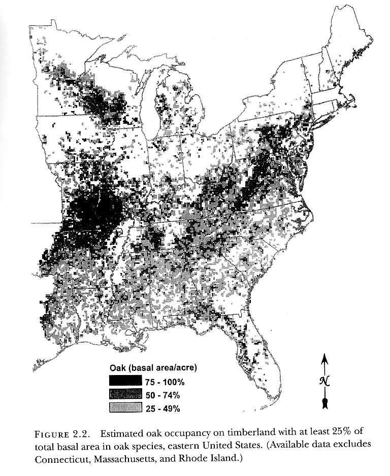 Old-growth tölgyesek dinamikája É-Amerikában Elegyes erdők változó tölgy elegy aránnyal, sok