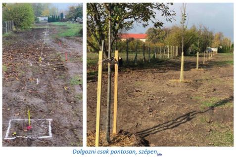 10. oldal A Madocsáért Egyesület csapata nagy fába vágta a fejszéjét. Új fasort telepítettünk a Madocsai temetőben.