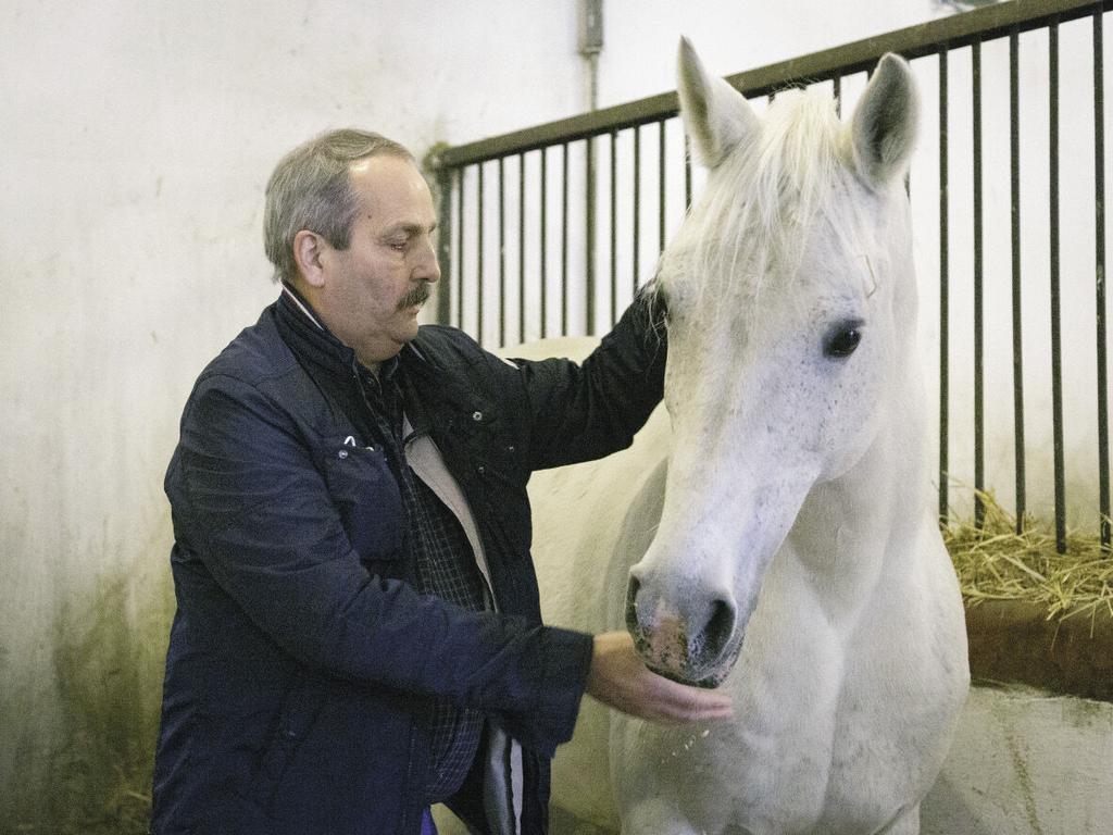 mert ilyenkor azt a lovat vissza lehetett vinni Bábolnára. Én is öreg méneket szeretek használni, amelyek már bizonyították az örökítő erejüket teszi hozzá Rombauer Tamás.
