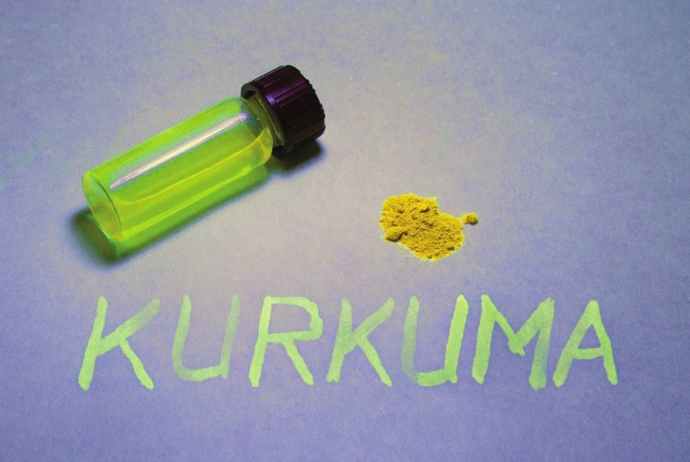 az elnyelt fényé. Az elnyelt UV-fény hatására a kurkumin látható narancssárga fényben világít!