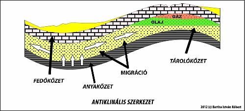 Kőolaj keletkezése A tengerekben elhalt és a fenékre süllyedt állati és növényi, elsősorban egysejtű