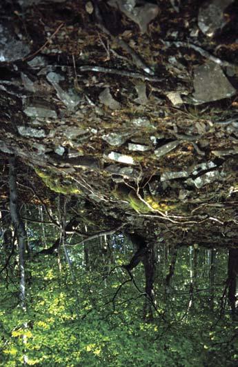 Nagy-Varsa-gödör) 49. ábra.
